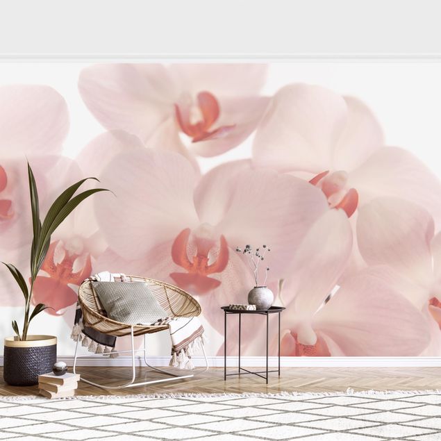 køkken dekorationer Bright Orchid Flower Wallpaper - Svelte Orchids