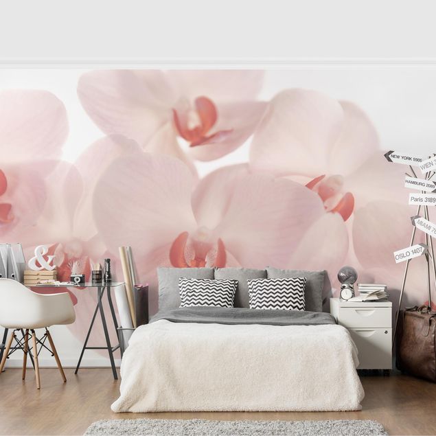 Tapet blomster Bright Orchid Flower Wallpaper - Svelte Orchids