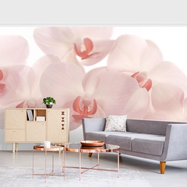 Tapet moderne Bright Orchid Flower Wallpaper - Svelte Orchids