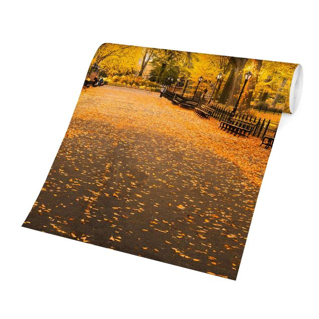Tapet orange Autumn In Central Park