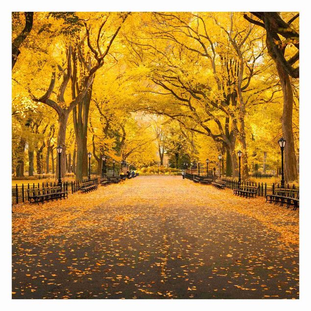 Tapet Autumn In Central Park