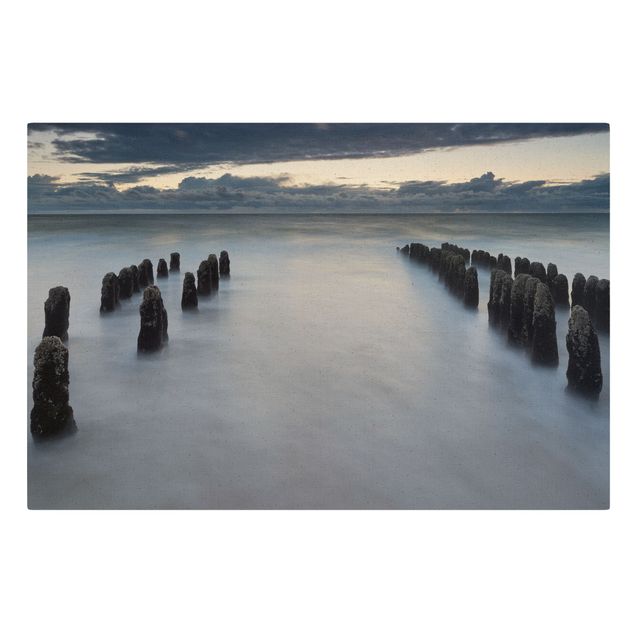 Billeder på lærred strande Old Wooden Posts In The North Sea On Sylt