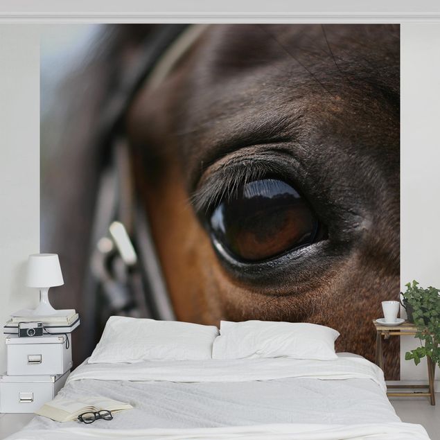 Moderne tapet Horse Eye