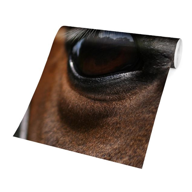 Tapet brun Horse Eye