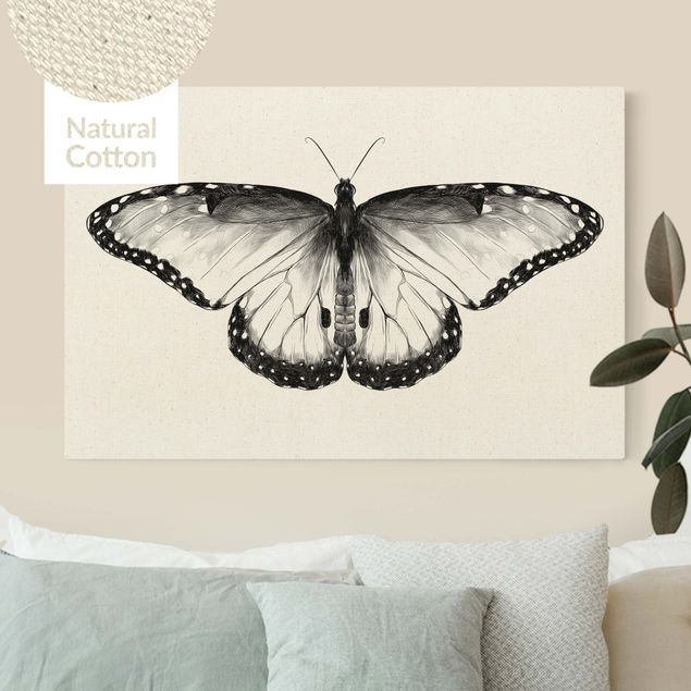 Billeder på lærred sommerfugle Illustration Flying Common Morpho Black