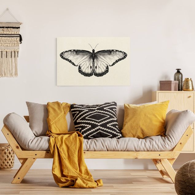 Billeder moderne Illustration Flying Common Morpho Black