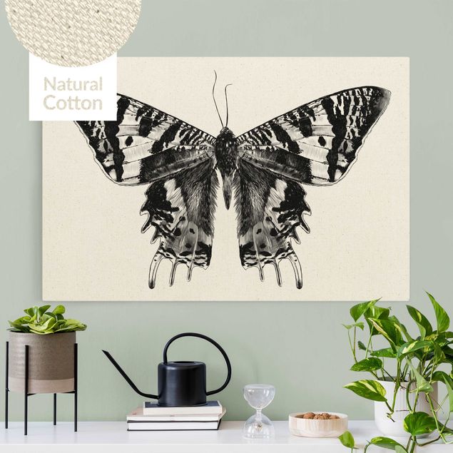 Billeder på lærred sommerfugle Illustration Flying Madagascan Butterfly