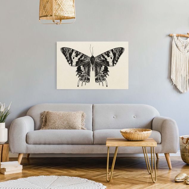 Billeder på lærred dyr Illustration Flying Madagascan Butterfly