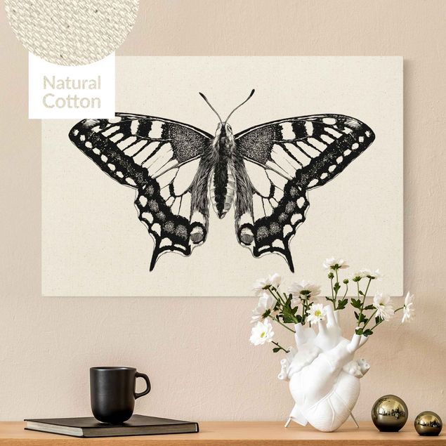 Billeder på lærred sommerfugle Illustration Flying Dovetail Black
