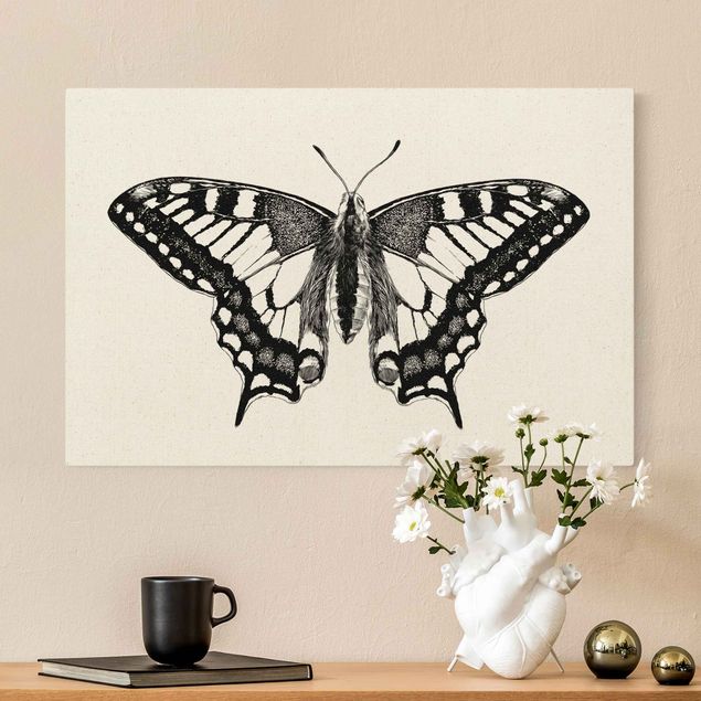 Billeder sommerfugle Illustration Flying Dovetail Black