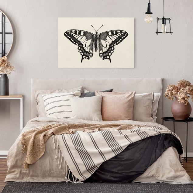 Billeder moderne Illustration Flying Dovetail Black