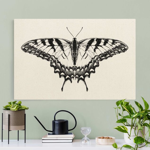 Billeder på lærred tiger Illustration Flying Tiger Swallowtail Black