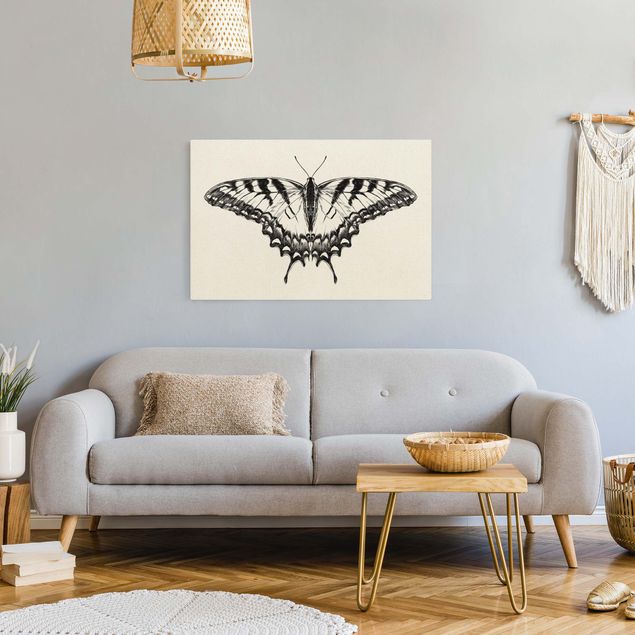 Billeder tiger Illustration Flying Tiger Swallowtail Black