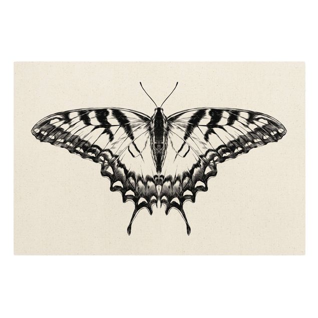 Billeder på lærred dyr Illustration Flying Tiger Swallowtail Black