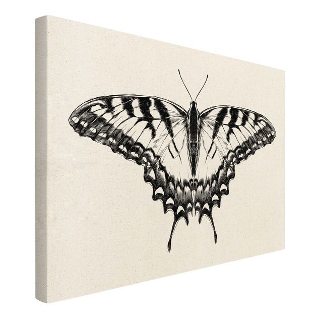Billeder moderne Illustration Flying Tiger Swallowtail Black