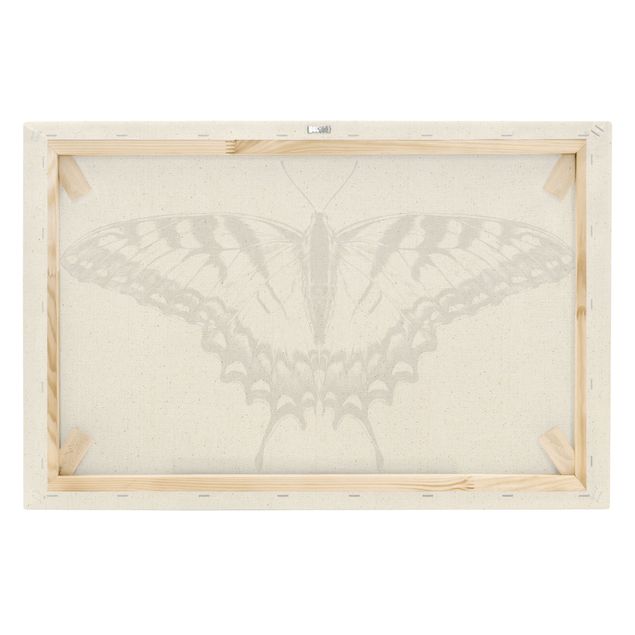 Billeder sort Illustration Flying Tiger Swallowtail Black