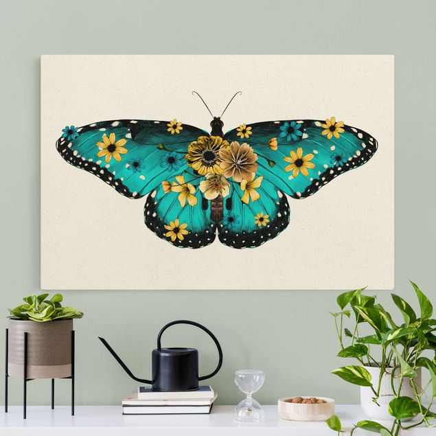 Billeder sommerfugle Illustration Floral Common Morpho