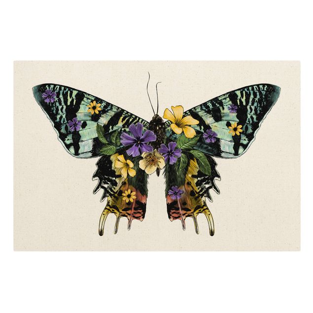 Billeder dyr Illustration Floral Madagascan Butterfly