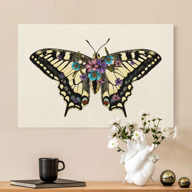 Billeder sommerfugle Illustration Floral Swallowtail