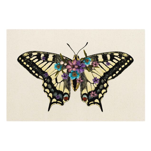 Billeder dyr Illustration Floral Swallowtail