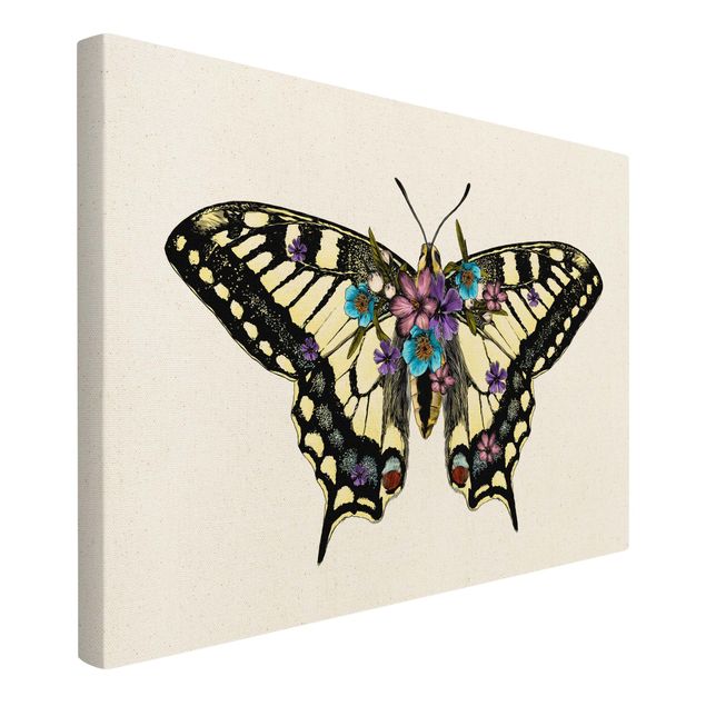 Billeder gul Illustration Floral Swallowtail