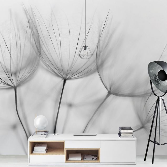 Moderne tapet Inside A Dandelion Black And White