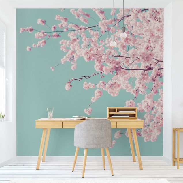 Moderne tapet Japanese Cherry Blossoms