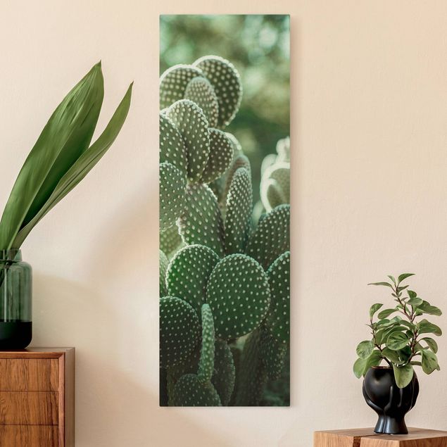 Billeder på lærred blomster Cacti