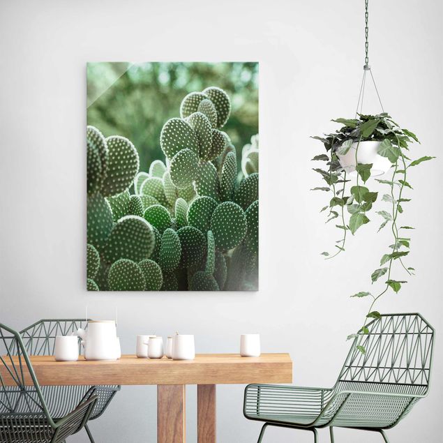 Glasbilleder blomster Cacti