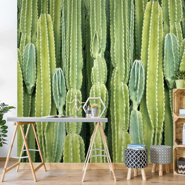 Tapet moderne Cactus Wall
