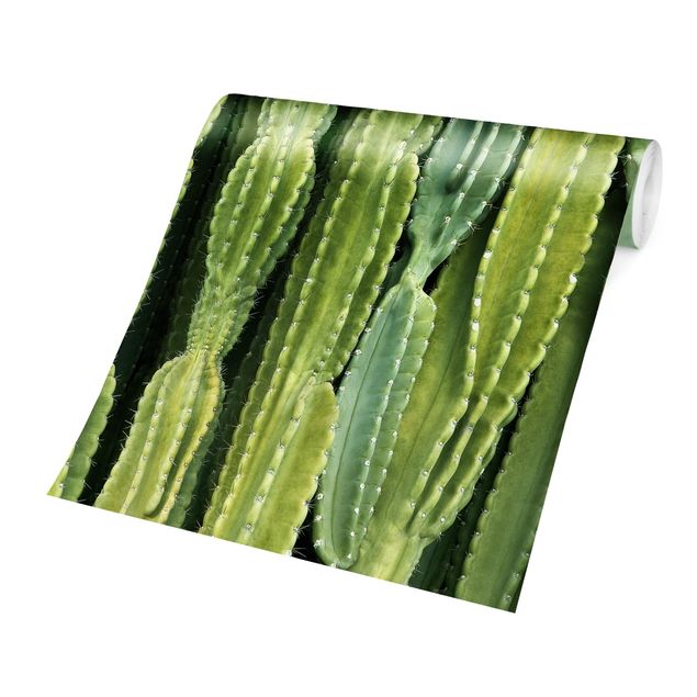 Grøn tapet Cactus Wall