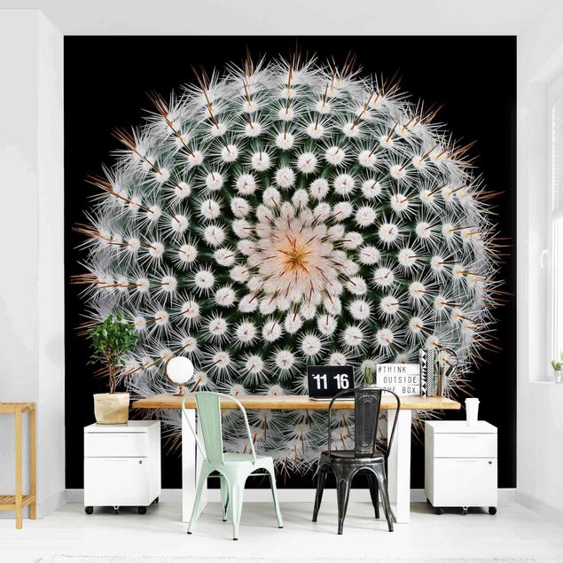 Moderne tapet Cactus Flower