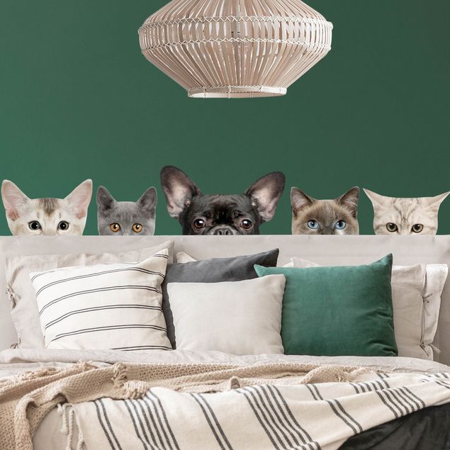 Wallstickers hunde Cats with dog look