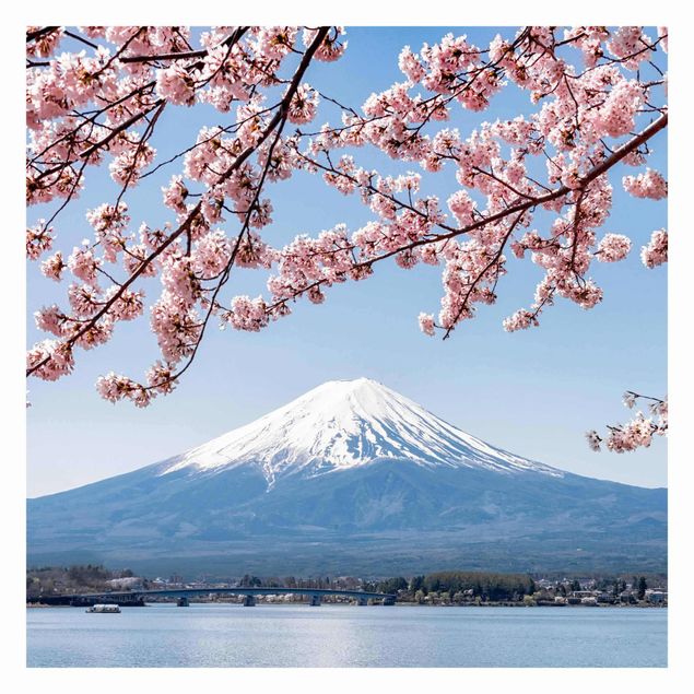 Blåt tapet Cherry Blossoms With Mt. Fuji
