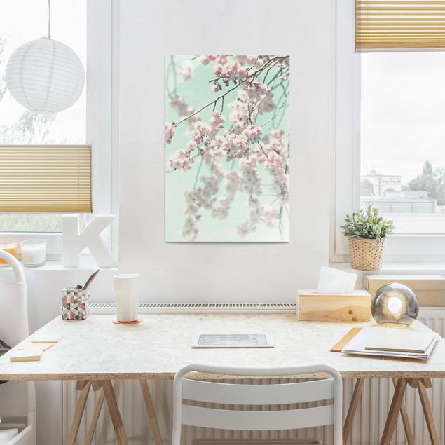 Glasbilleder blomster Dancing Cherry Blossoms On Canvas