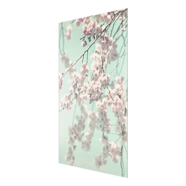 Billeder Dancing Cherry Blossoms On Canvas