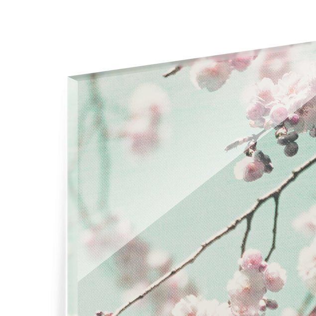 Glas magnettavla Dancing Cherry Blossoms On Canvas