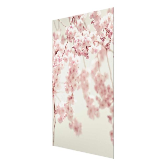 Billeder Dancing Cherry Blossoms