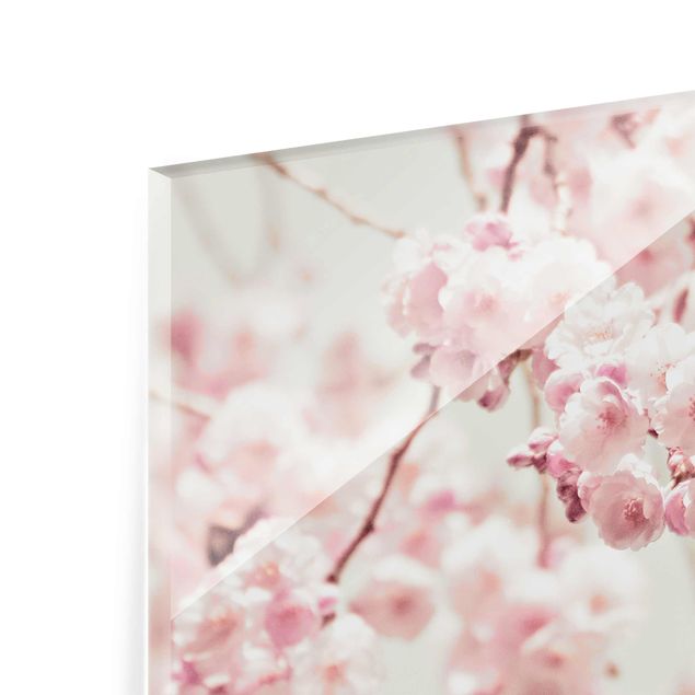 Glas magnettavla Dancing Cherry Blossoms