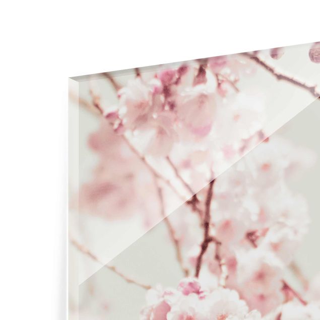 Glas magnettavla Dancing Cherry Blossoms
