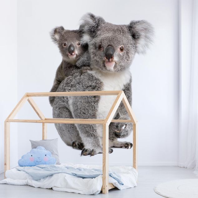 Tapet Koala Bears
