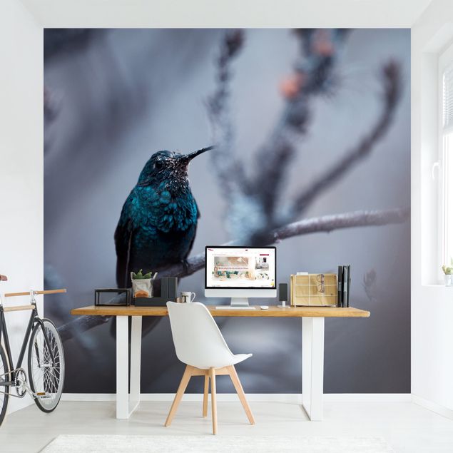 Moderne tapet Hummingbird In Winter