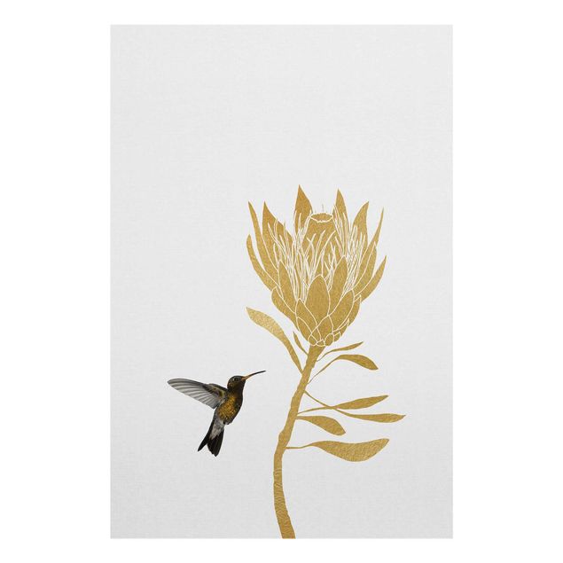 Billeder Hummingbird And Tropical Golden Blossom