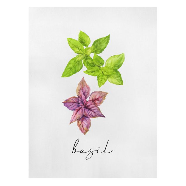 Billeder på lærred krydderier og urter Herbs Illustration Basil