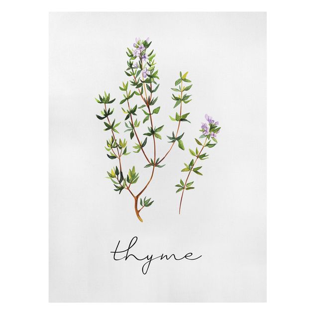 Billeder på lærred krydderier og urter Herbs Illustration Thyme