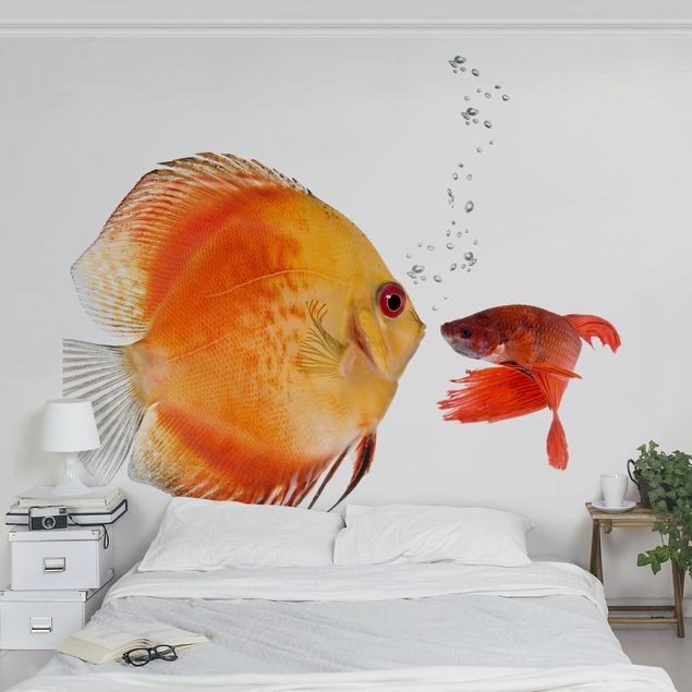 Fototapet undervands Kissing Fish