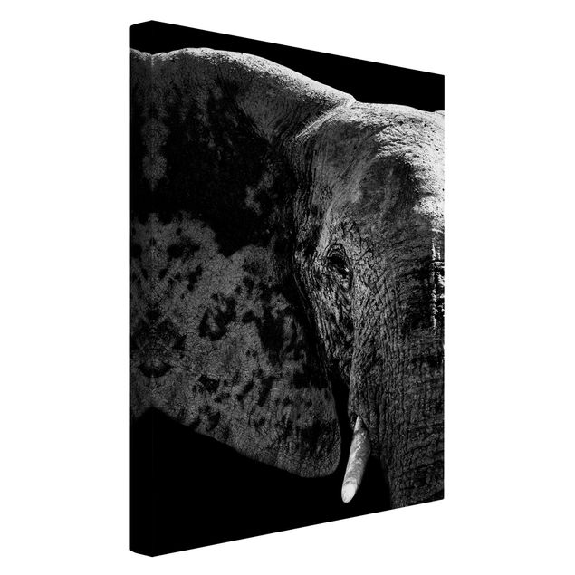 Billeder på lærred Afrika African Elephant black and white