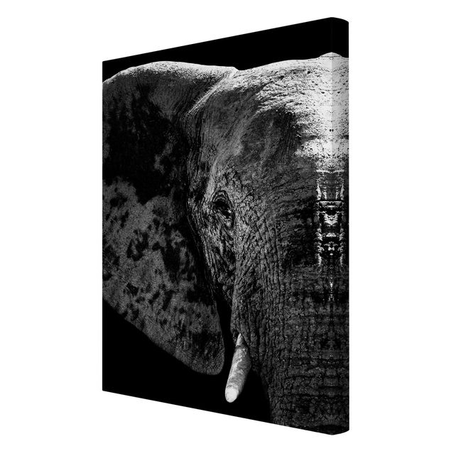 Billeder på lærred dyr African Elephant black and white