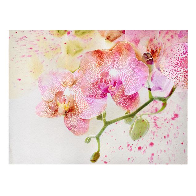 Billeder blomster Watercolour Flowers Orchids