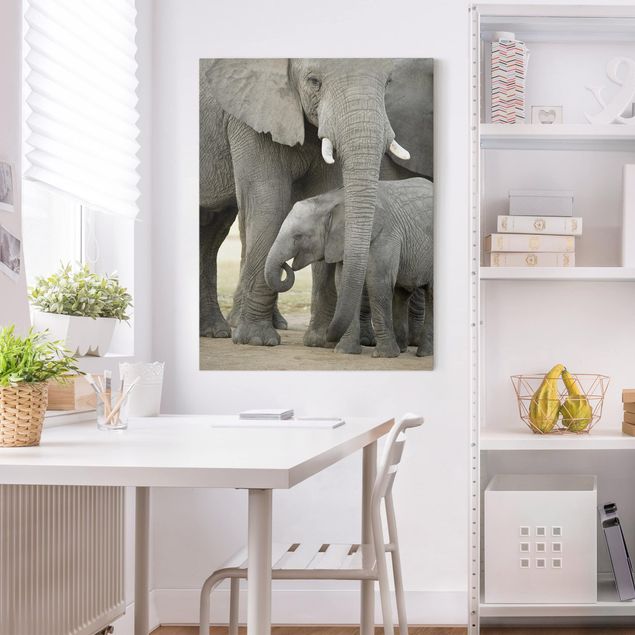 Billeder elefanter Elephant Love